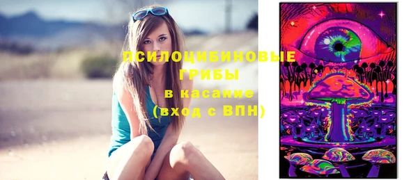 ГАЛЛЮЦИНОГЕННЫЕ ГРИБЫ Верея