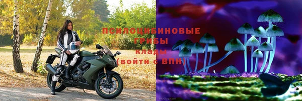 тгк Шадринск