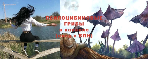 тгк Шадринск
