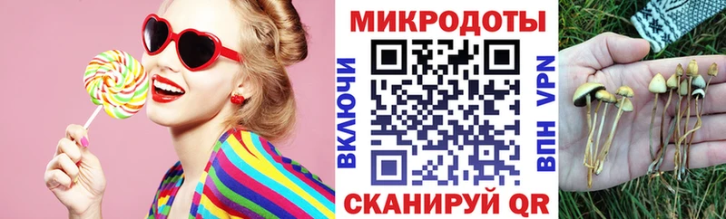 купить наркотики цена  Каргат  Галлюциногенные грибы Psilocybe 